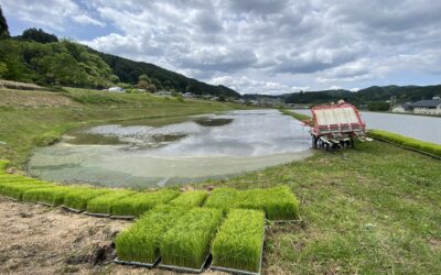 活動報告　5月2週目（5月5日〜5月11日）